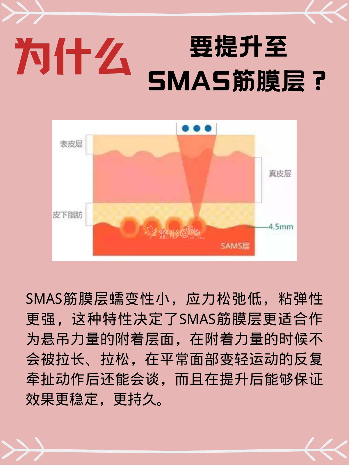 什么是smas筋膜层 smas筋膜层位于皮下4,5mm处,在皮下脂肪与肌肉之间